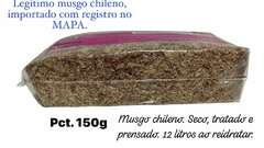 Musgo esfagno IMPORTADO do Chile - Seco e desidratado: pct com 150g eq. a 12 litros hidratado - loja online