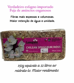 Musgo esfagno IMPORTADO do Chile - Seco e desidratado: pct com 150g eq. a 12 litros hidratado - comprar online