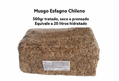 Musgo esfagno chileno, 500 GR. Sphagnum Moss tratado, seco e prensado. - PARAFLOR