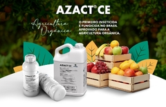 Combo Nutrição e Proteção, Azact CE 1L Azadiractina Índica, e ganhe 1 Nutraza, fertilizante orgânico Cx 900g - loja online