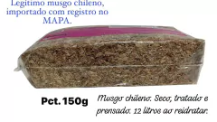 Imagem do Kit Junior para Orquídeas: Musgo CHILENO 150 GR e 150ML de AZACT CE Indiano.