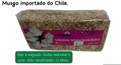 Kit Junior para Orquídeas: Musgo CHILENO 150 GR e 150ML de AZACT CE Indiano. - loja online