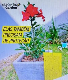 Armadilha adesiva para captura insetos pragas voadores. Kit com 5 cartelas Yellowtrap Mini Garden - loja online