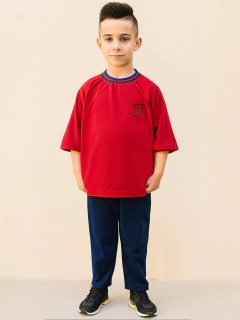 Pintor San Jose (1508022)