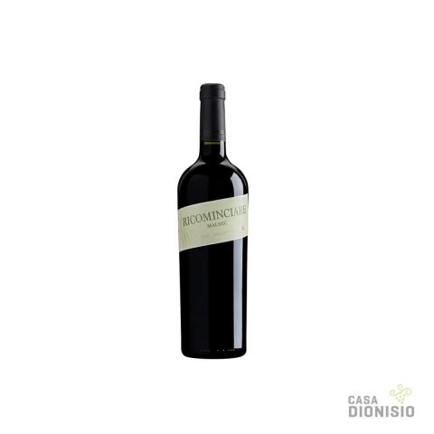 Viviana Catena - Ricominciare Altísimo Cabernet Franc 2023
