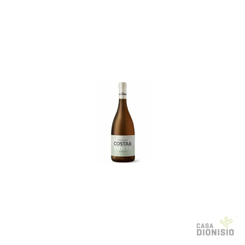Costa & Pampa Albariño