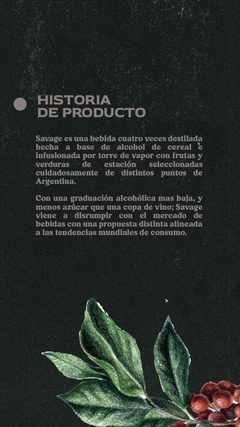 Savage Limòn y Gengibre - Casa Dionisio Vinoteca