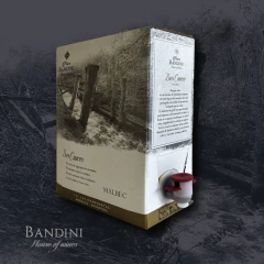 Finca Bandini Dos Cauces Malbec Bag in Box x 3 Litros - comprar online