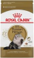 ROYAL CANIN PERSIAN ADULT X 2 KILOS (Vencimiento en etiqueta Abril 2021, vencimiento real , Abril 2022 aprox )