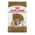 ROYAL CANIN SHIH TZU 3 KG ADULT - comprar online