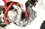 $3.100.000 OFERTA CONTADO Moto A Nafta 140CC Gaf Encendido Electronico 4 Tiempos