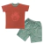 conjunto zorro