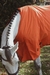 Manta Ripstop Heavy Weight - Triple Premium - comprar online