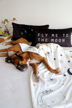 Almohadon Moon Negro / Universo Rectangular - comprar online
