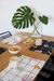 Pack x 4 Individuales - elegir estampa