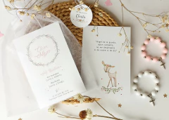 Estampita Bautismo ilustración + bolsa de organza + denario