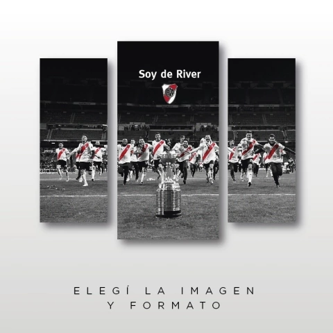 Cuadros Tripticos Irregulares River Plate #47