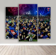 Cuadro Triptico Irregular Tigre Ascenso a primera 2021