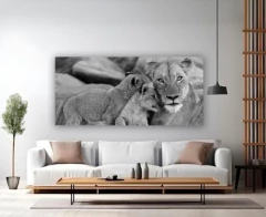 Cuadro Panorámico Leona y sus cachorros medida 125*57 cm en Color o ByN - comprar online