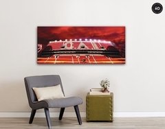 Cuadros Panorámicos Independiente - comprar online