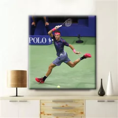 Cuadros Del Potro