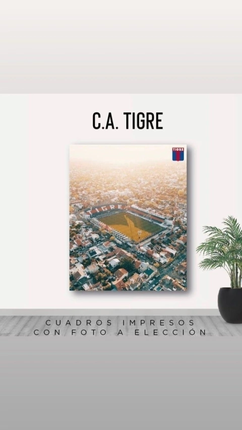 Cuadro Rectangular Tigre Ascenso a primera 2021 Cancha