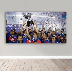 Cuadro Rectangular Tigre Ascenso a primera 2021