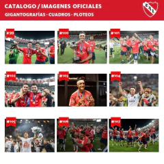 Imagen de Cuadro Triptico Independiente