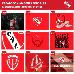 Imagen de Cuadro Triptico Independiente