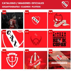 Imagen de Cuadros Panorámicos Independiente