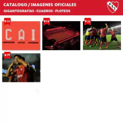 Catálogo Independiente en internet