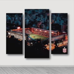 Cuadro Triptico Irregular Estudiantes de la Plata #67