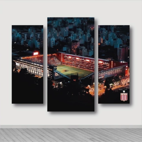 Cuadro Triptico Irregular Estudiantes de la Plata #67