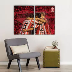 Cuadros Dípticos Estudiantes de La Plata - Mikiu Design