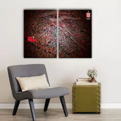 Cuadros Dípticos Estudiantes de La Plata en internet