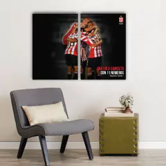 Cuadros Dípticos Estudiantes de La Plata