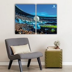 Imagen de Cuadros Dípticos Racing Club