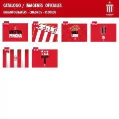 Cuadros Panorámicos Estudiantes de La Plata - tienda online
