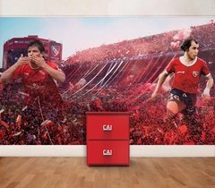 Gigantografía de Independiente en internet