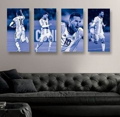 Cuadriptico Regular Messi Balon de Oro#27 en internet
