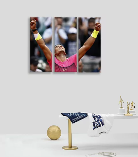 Cuadros Trípticos Nadal