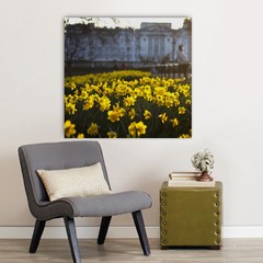 Cuadro "Narcisos"