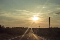 Cuadro "Route II" - comprar online