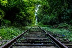 Cuadro "Rails" en internet