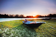 Panorámico "Boat II" en internet