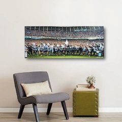 Cuadros Panorámicos Racing Club - tienda online