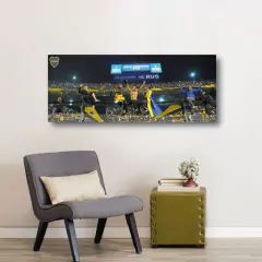 Cuadros Panorámicos Boca Juniors - comprar online
