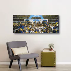 Cuadros Panorámicos Boca Juniors en internet