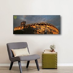 Cuadros Panorámicos Boca Juniors en internet