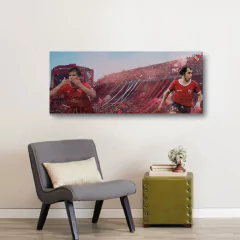 Cuadros Panorámicos Independiente en internet